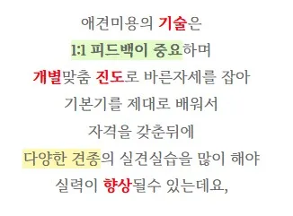 창원 애견미용 학원, 창업까지 가능한가요? 2026년 전망 2