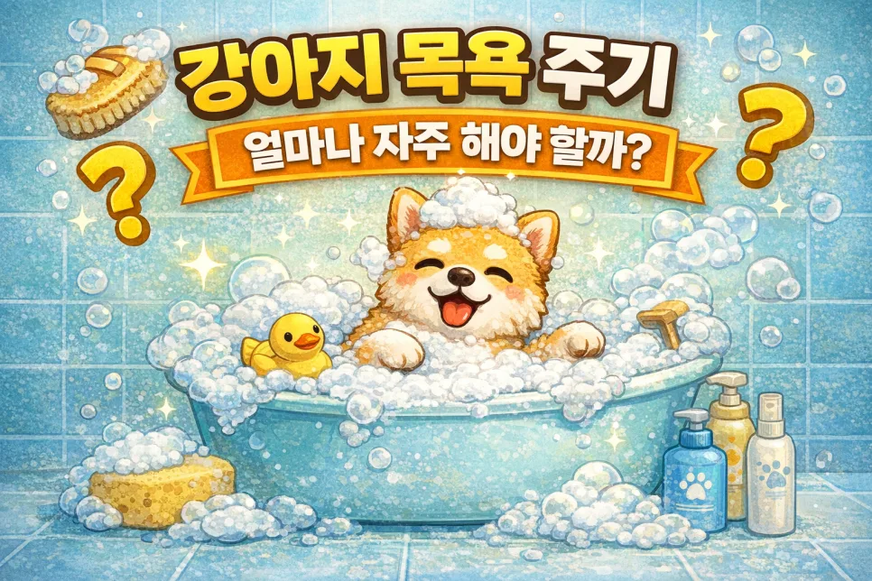 강아지 목욕 주기 2026: 견종별 최적 빈도와 피부 건강 관리법