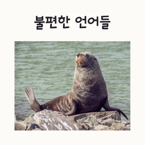 한국어 문해력 위협하는 오류들: 2026년 전문가 진단