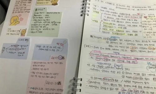 공무원 시험 노베이스 합격 전략 2026: 현실적인 조언