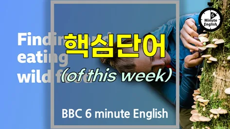 야생 식재료 채집 2026: 비용, 방법, 주의사항 완벽 정리