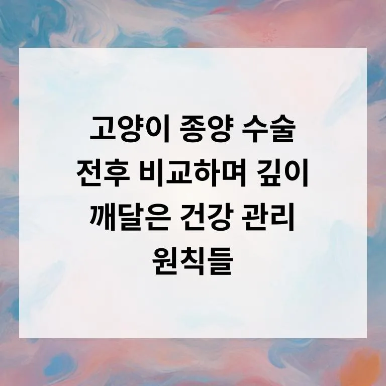 고양이 종양 수술, 성공적인 회복을 위한 필수 관리법 2026