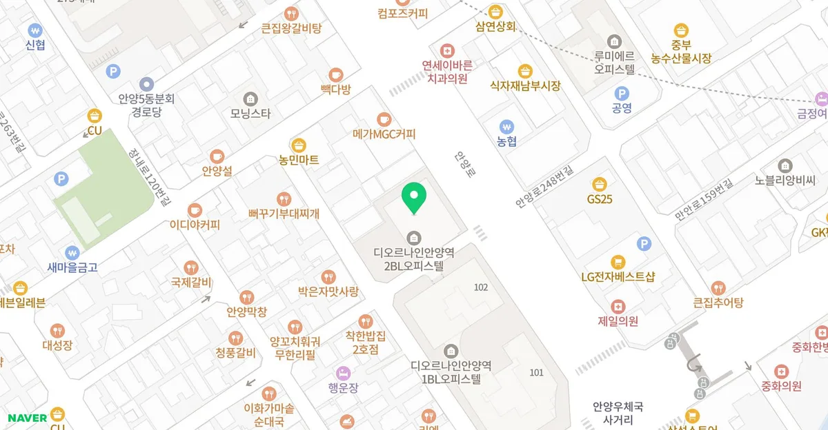 고양이 종양 수술, 성공적인 회복을 위한 필수 관리법 2026 2