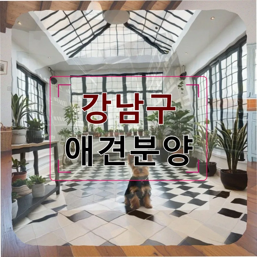 강남구 애견분양 후회 막심? 2026년 똑똑하게 준비하는 법