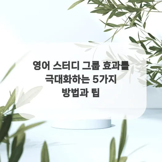 영어 스터디 그룹 효과 극대화 전략 2026: 5가지 핵심 방법