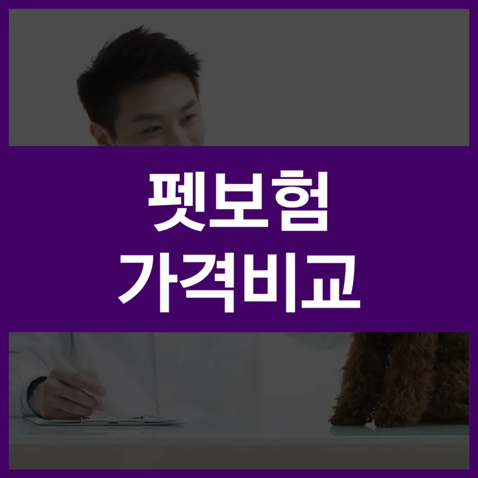 2026년 펫보험 고양이보험 비교: 우리 아이 의료비 부담 줄이는 법