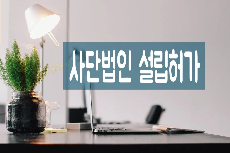 비영리사단법인 설립 요건 및 절차 완벽 가이드 2026