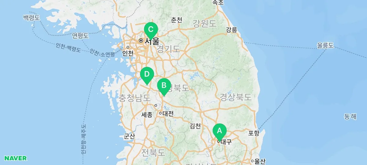 포메라니안, 2026년까지 털빠짐 걱정 끝! 키우기 특징 완벽 가이드