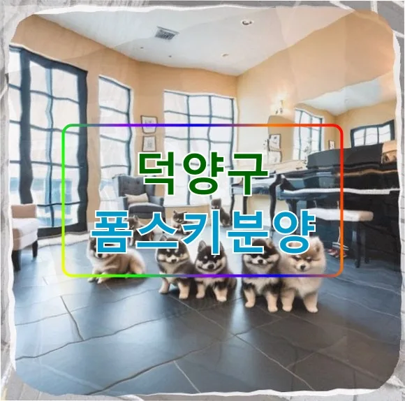 20대 사회초년생 폼스키 분양 가이드 2026: 덕양구 정보 총정리