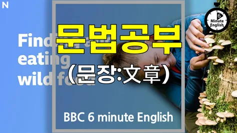 BBC 러닝잉글리시 문법 핵심 정리 2026: 영어 실력 향상 가이드