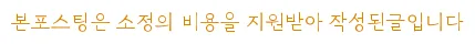 아비시니안 고양이 분양 2026: 제나캣 해운대 장점 총정리