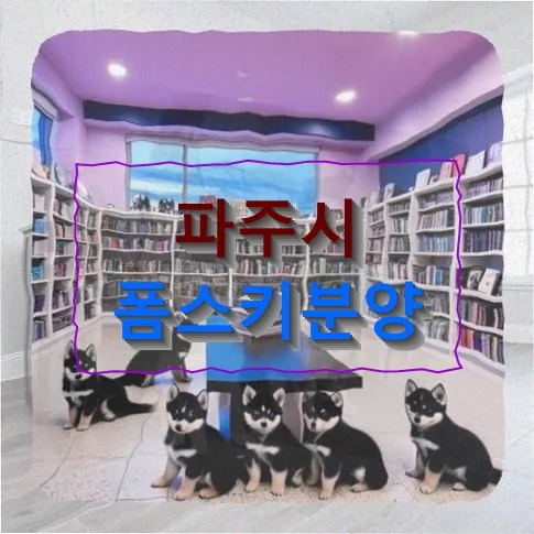 폼스키 입양 고민 2026: 프리랜서 디자이너의 현실적인 준비 가이드