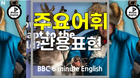 추위 적응 비결 2026: 영어 단어 암기법과 핵심 표현 총정리