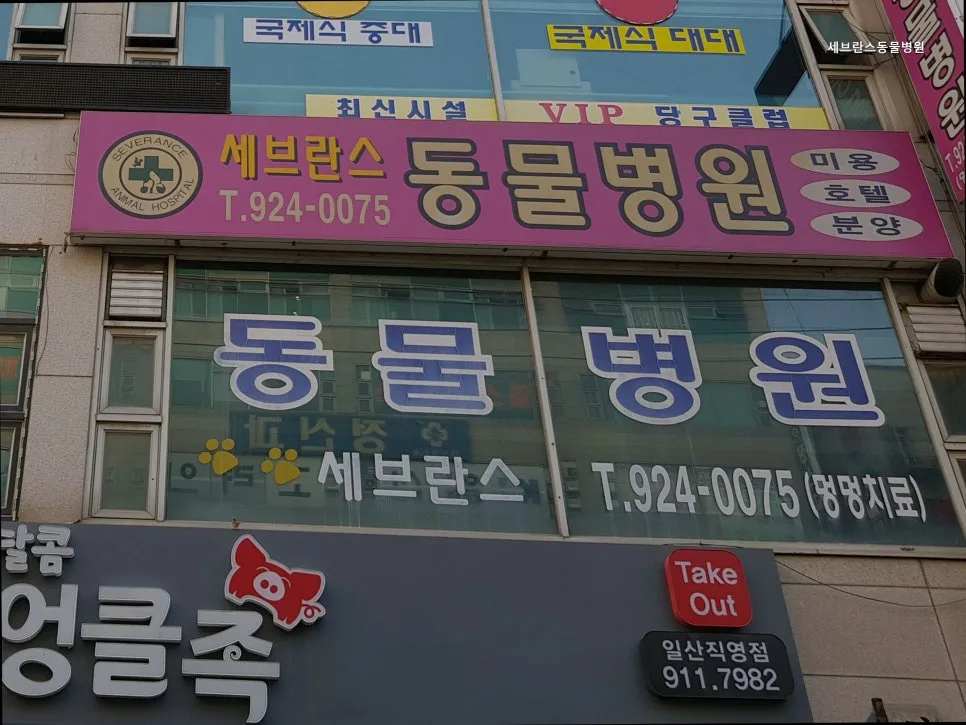 일산 탄현역 동물병원: 세브란스동물병원 진료 정보 2026 2