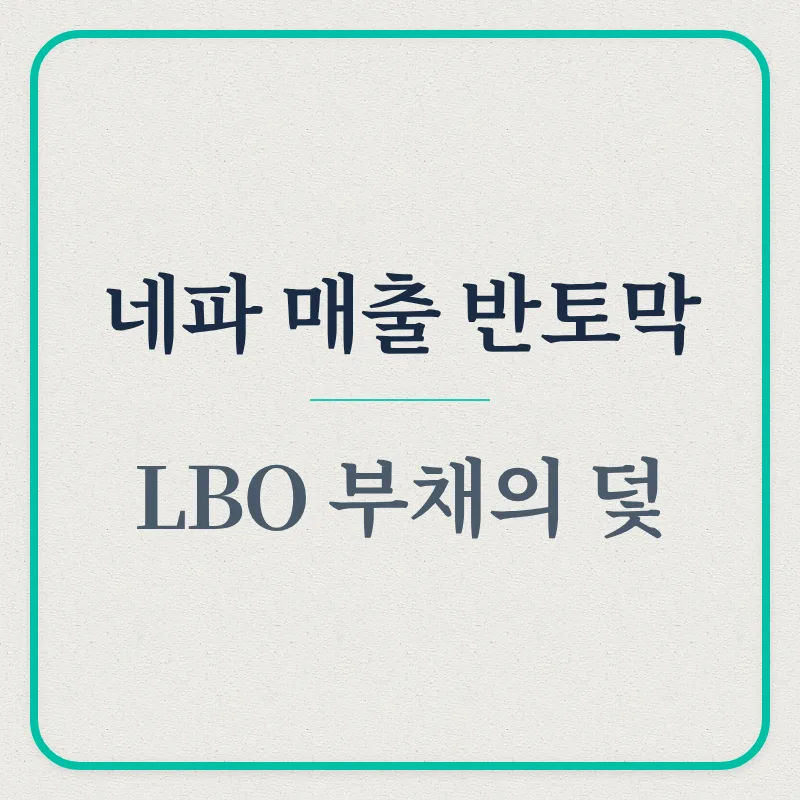네파 매출 반토막 원인 2026: LBO 부채와 시장 침체 분석