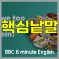 단백질 섭취, 과도한 집착일까? 2026년 BBC 영어 학습 가이드
