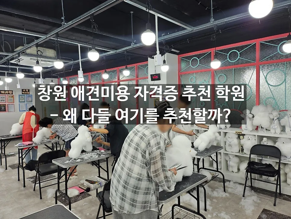 창원 애견미용 학원 2026년, 실력 키우는 곳은 여기!