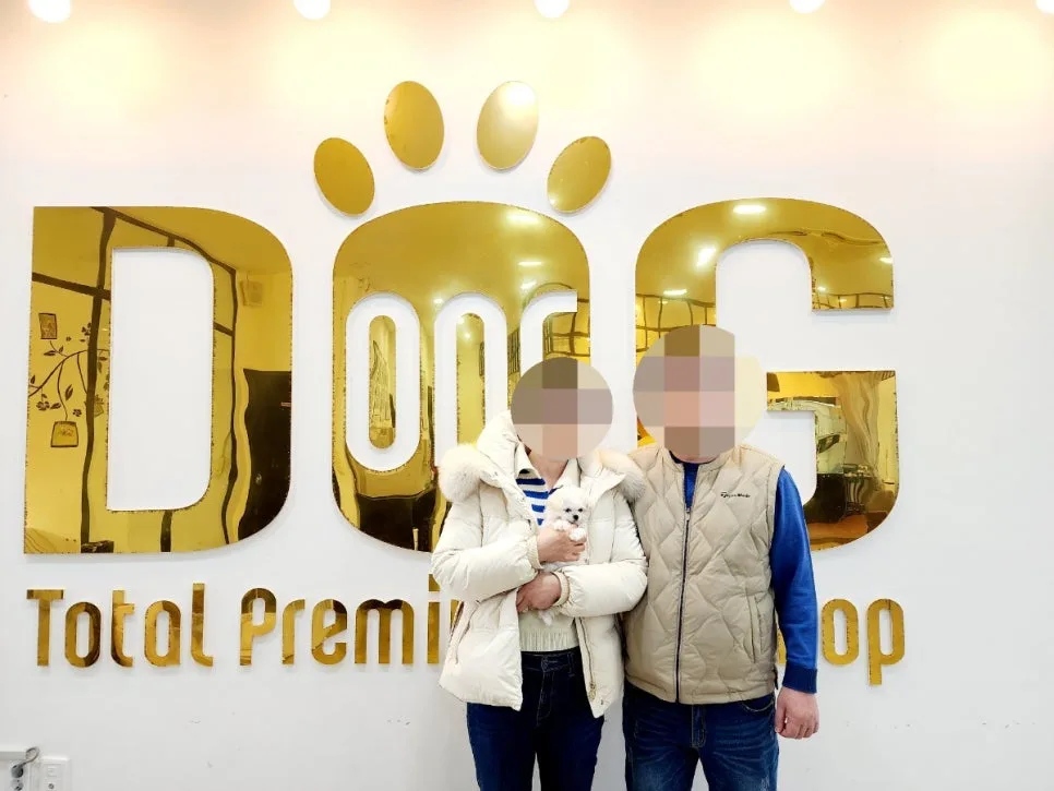 세종시 강아지 분양 2026: 건강한 미니비숑 공주님 입양 가이드 2