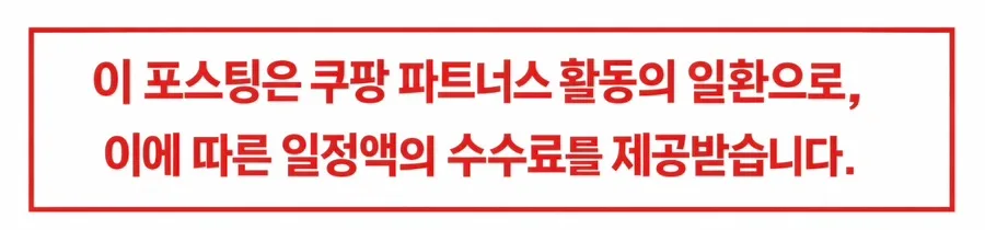 유치한 행동 지적하는 영어 표현 3가지 (2026년 최신)