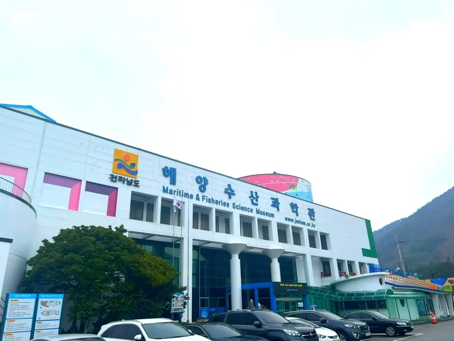 전남 해양수산과학관 아기상어: 2026년 가성비 최고 아쿠아리움 탐방기