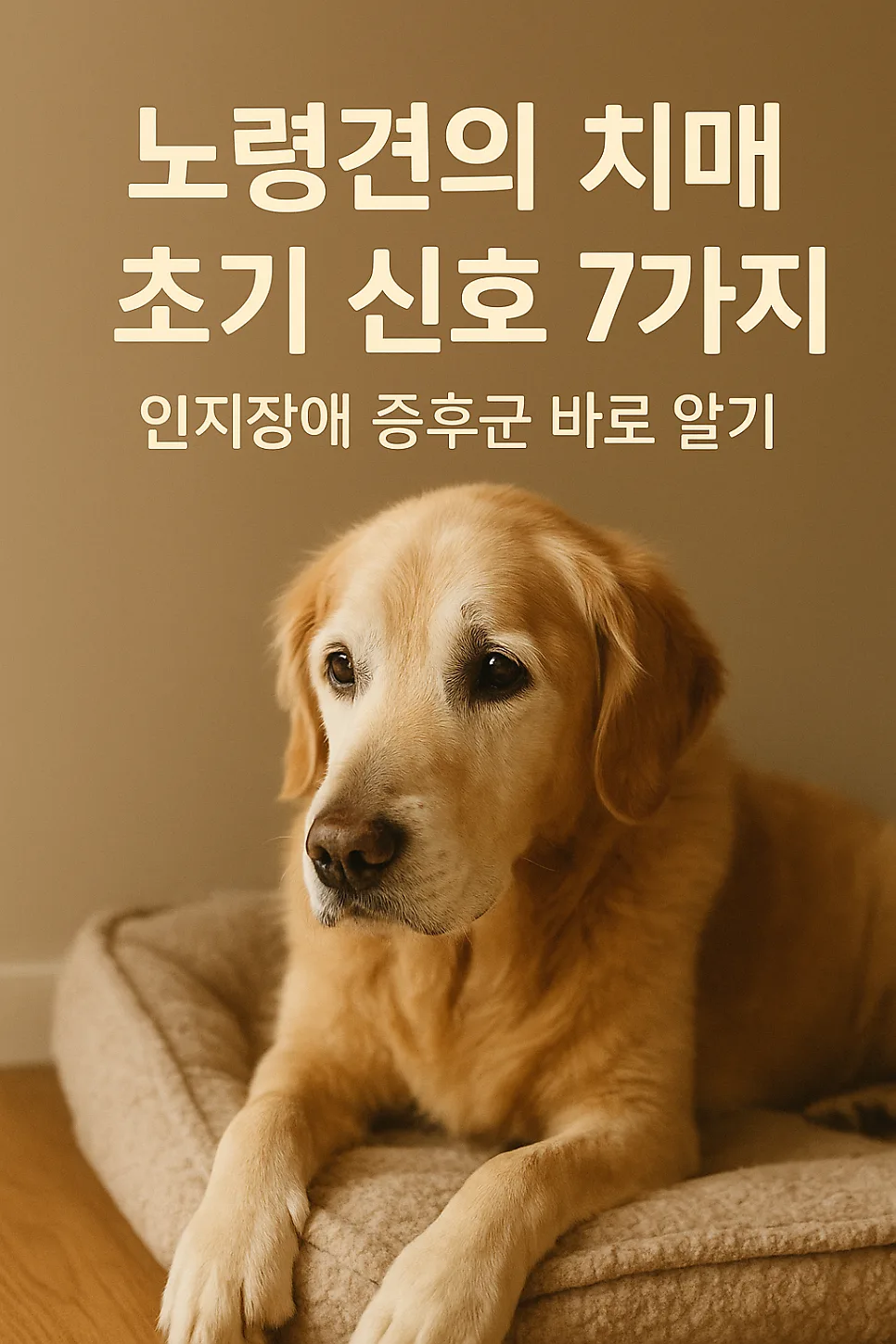 노령견 치매 초기 증상 7가지와 관리법 2026년 총정리