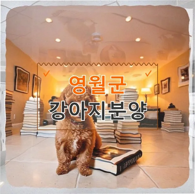 영월 강아지분양 후 필수! 반려견 구강 건강 관리법 2026
