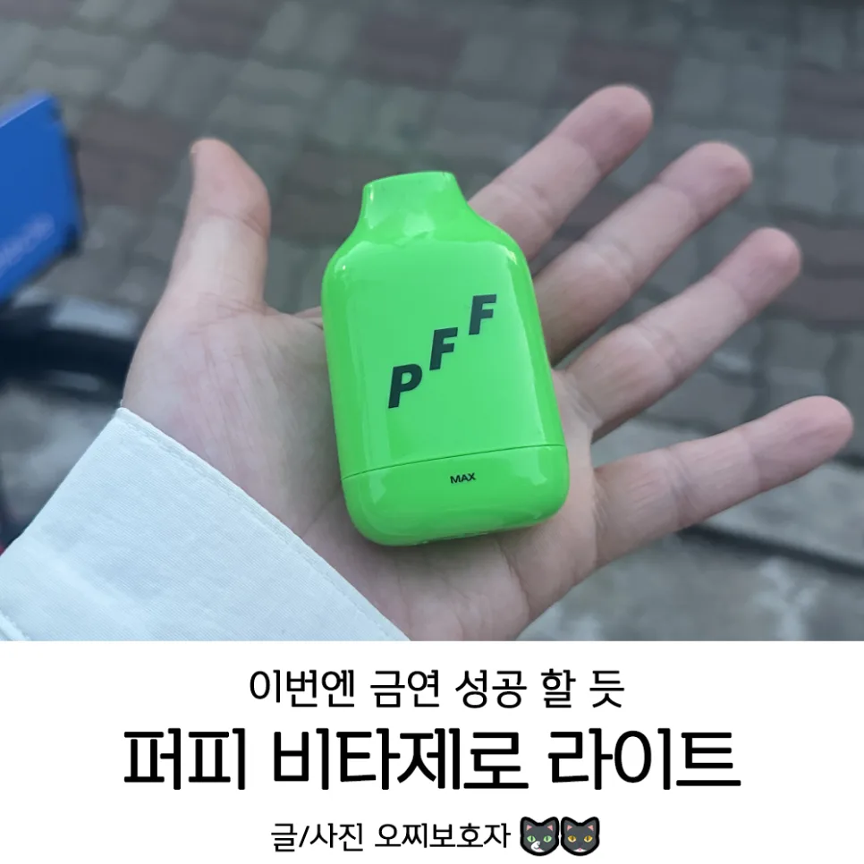 퍼피 비타제로 라이트, 금연 성공 위한 현실적 대안 될까? 2026