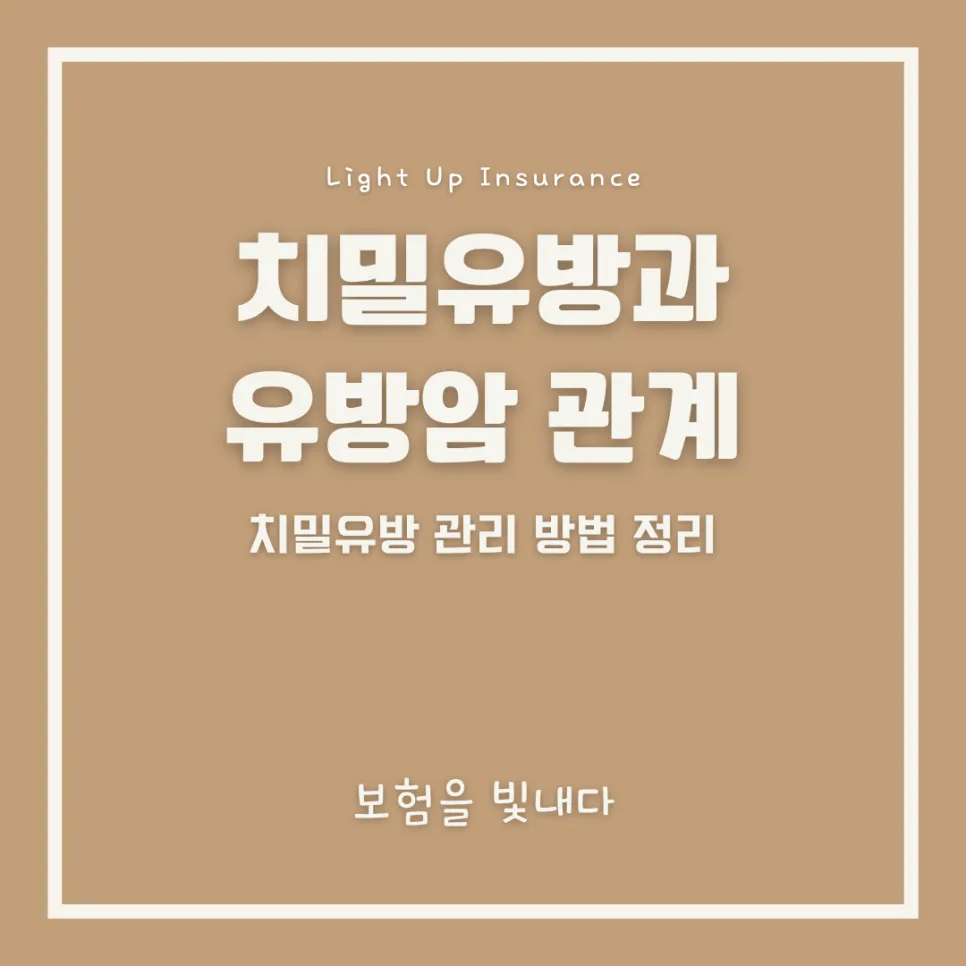 치밀유방 초음파 병원 선택 가이드 2026: 정확도 높이는 법
