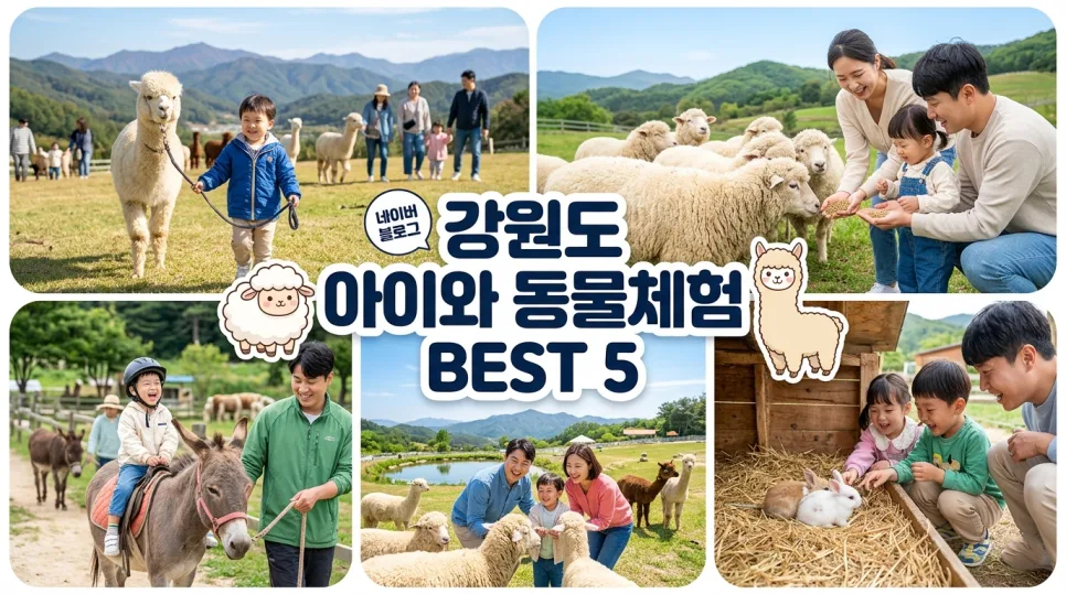 강원도 동물 체험 2026: 아이와 함께하는 이색 여행 BEST 5