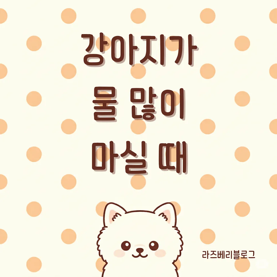 강아지 음수량 변화, 2026년 병원 가야 하는 기준은?