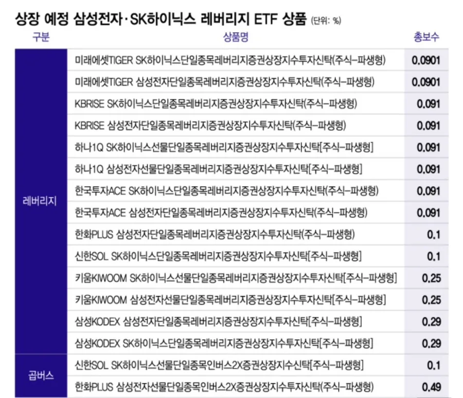 삼성전자·SK하이닉스 레버리지 ETF 2026년 전망: 투자 전 필수 체크리스트 2