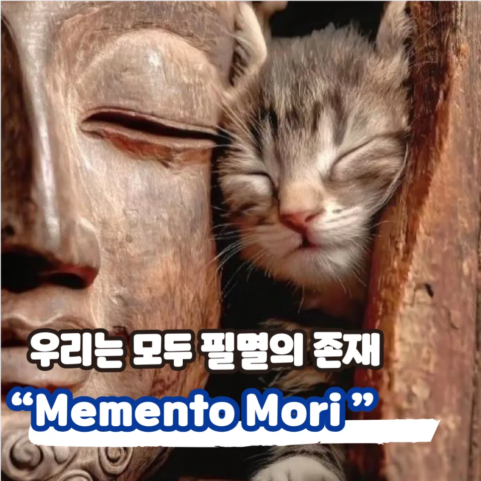 메멘토 모리 2026: 죽음을 기억하며 삶의 의미 찾기