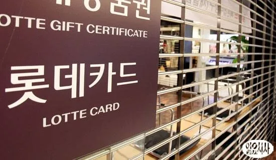 카드사 영업정지 시 2026년 소비자 영향 총정리