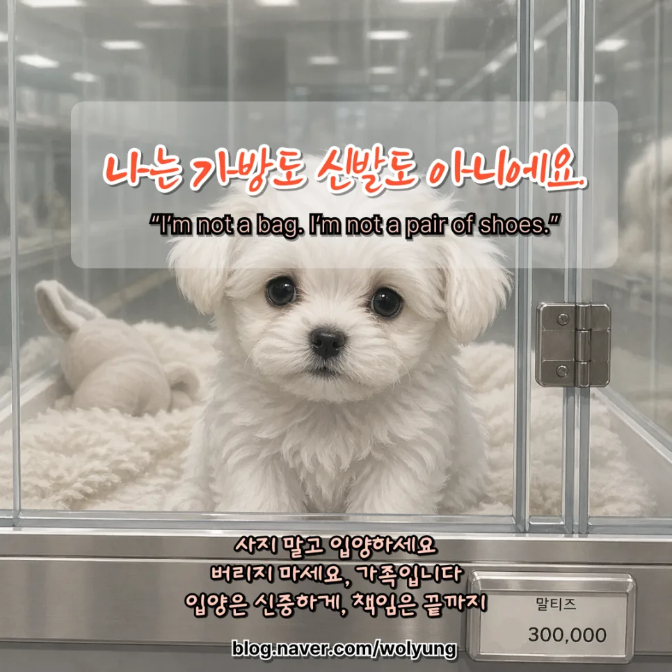 반려동물 번식장 실태 2026: 생명 소모 사슬 끊는 법