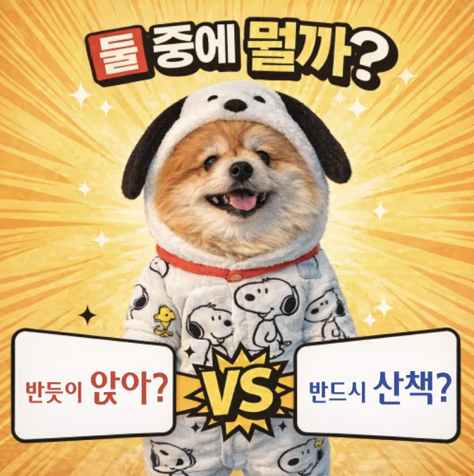 반드시 vs 반듯이: 2026년까지 헷갈리지 않는 완벽 구분법