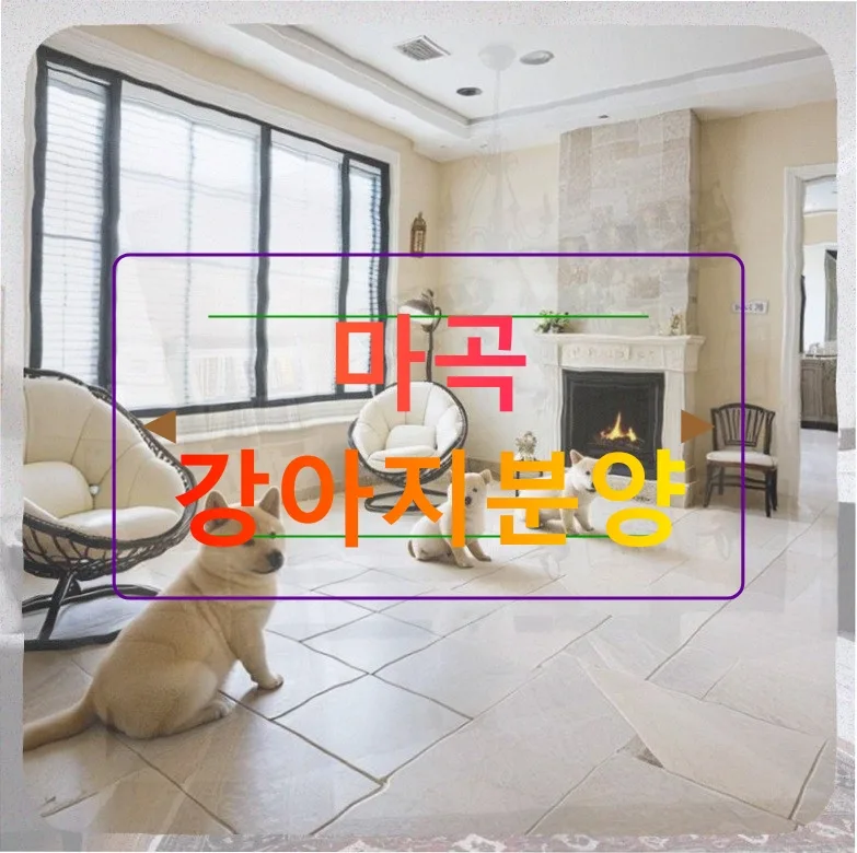 마곡 강아지 분양 사기 예방법: 2026년 실제 경험담 기반