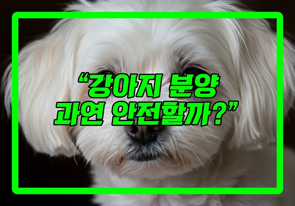 인천 강아지 분양 2026: 저렴한 광고 속 숨겨진 진실과 안전한 입양법