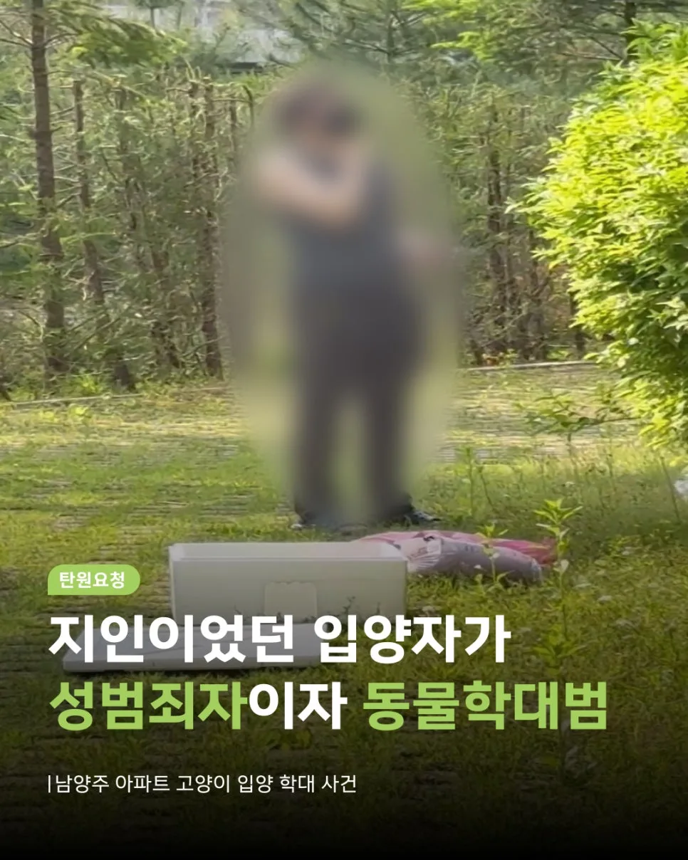 남양주 고양이 학대범 항소, 엄벌 촉구 탄원 2026년 3월