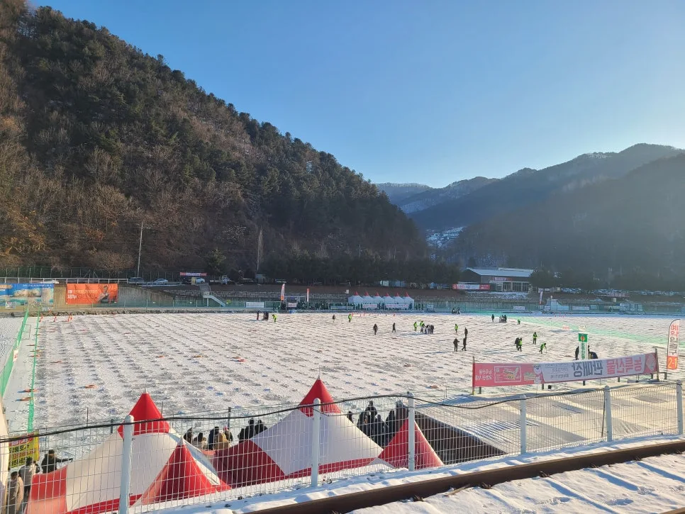 강원도 겨울 얼음낚시 & 빵지순례 2026: 생생 후기 2