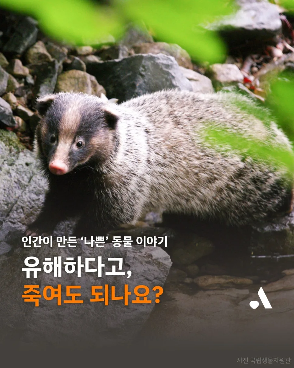 유해야생동물 관리, 사살만이 답일까? 2026년 공존 방안 모색