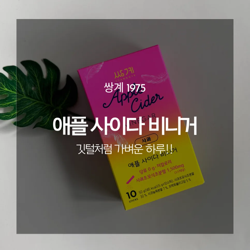 쌍계 애사비 2026년, 다이어트 효과 및 섭취 가이드 총정리