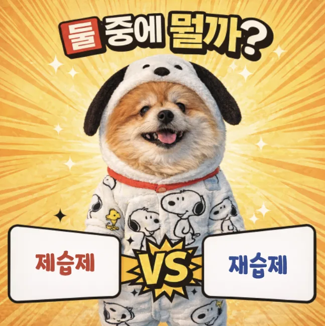 제습제 vs 재습제: 2026년 올바른 맞춤법과 습기 제거 원리 완벽 정리
