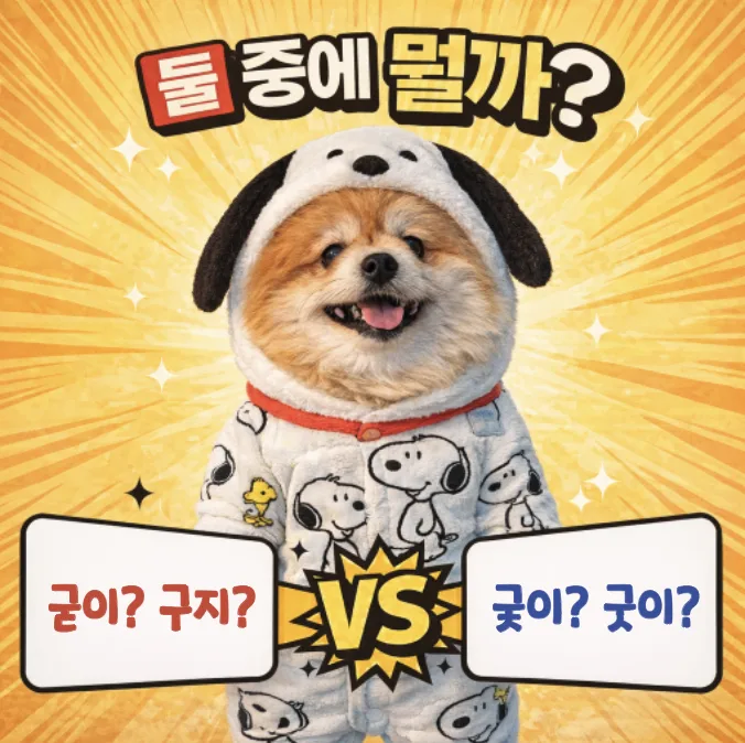 굳이, 구지, 궂이 2026년 올바른 맞춤법 총정리