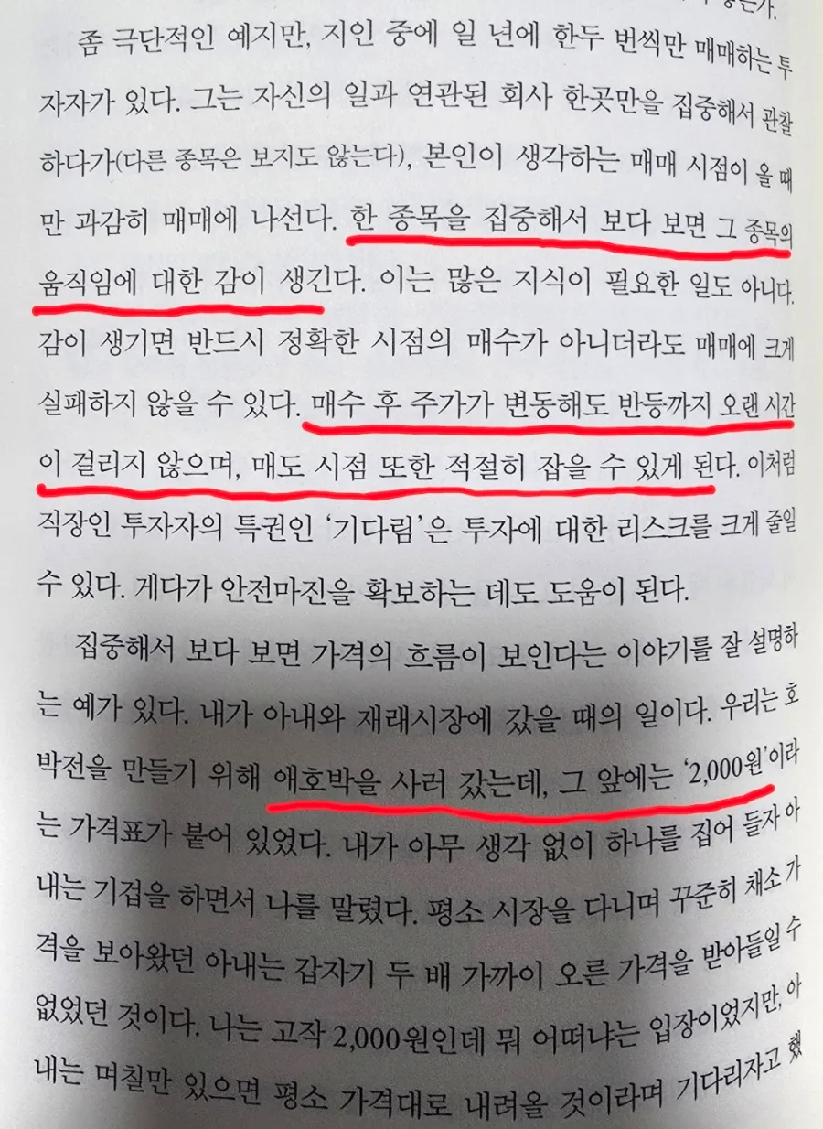애호박 이론 2026: 직장인 주식투자, 아는 종목에 집중하는 법
