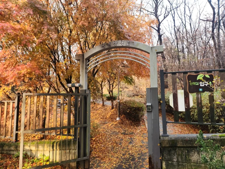 성사체육공원 아기 산책 코스 2026: 4km 걷기 최적 루트