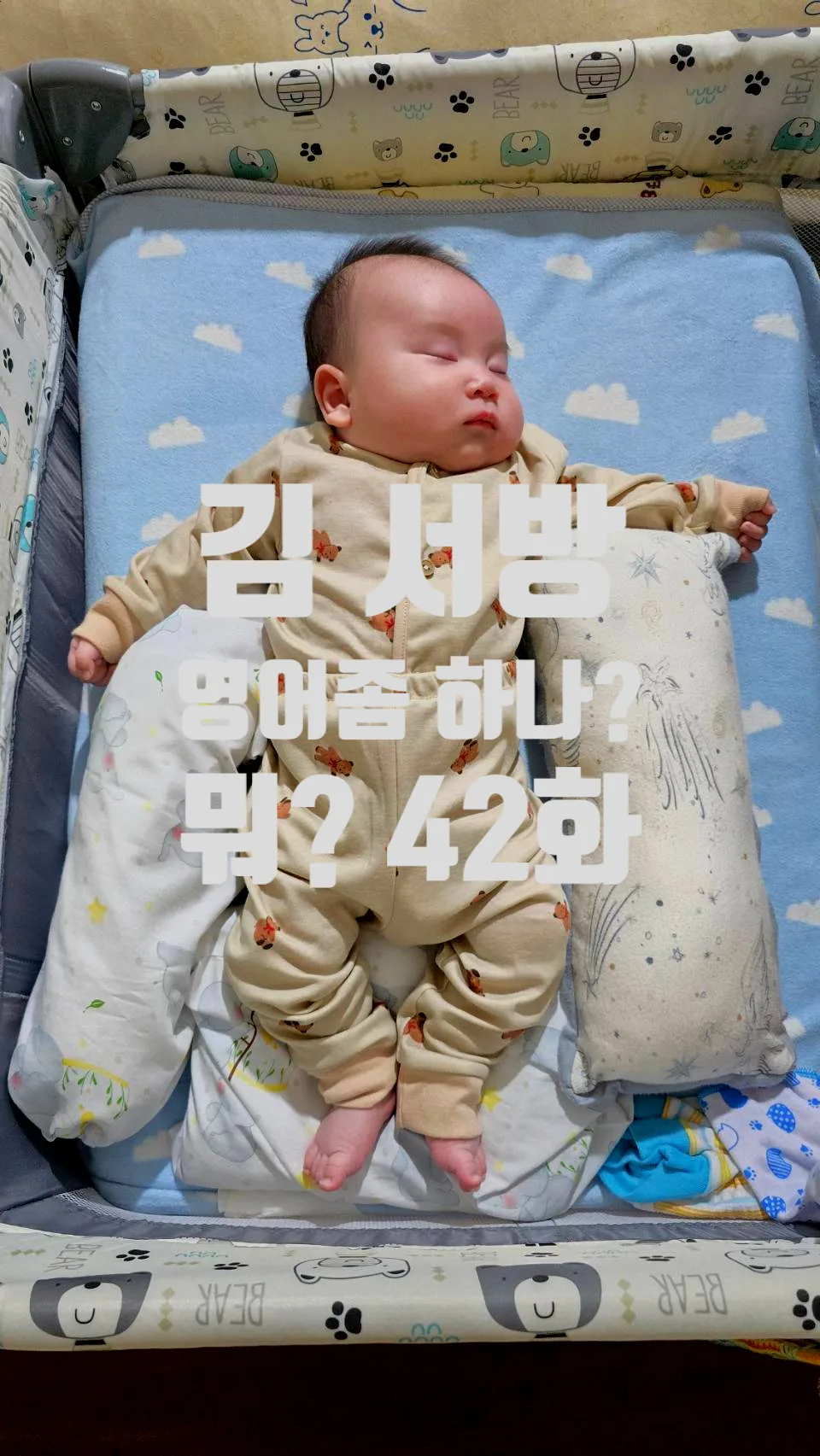 도서관 영어 회화 완벽 정복: 필수 동사 & 학습법 2026