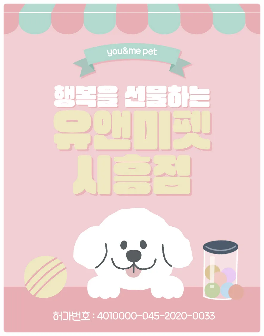 2026년 남양주 말티즈 분양, 유앤미펫에서 건강한 반려견 찾는 법 — 반려동물 — dbdosalvpt