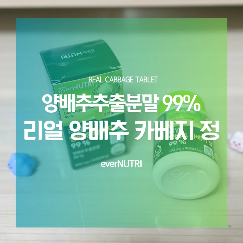 속쓰림 완화, 양배추환 2026년 복용법과 효능 총정리