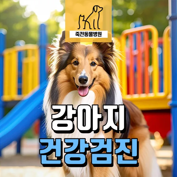 11살 강아지 건강검진: 기침, 앞다리 떨림, BUN 상승 원인과 해결책 2026