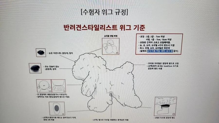 애견미용 자격증 비용 현실 총정리 (2026년 취득 가이드)
